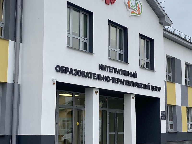 Качественная социальная поддержка семьи с ребенком с инвалидностью основа профилактики институционализации 