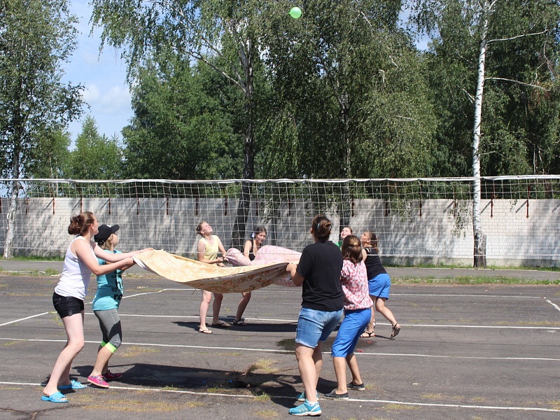 Territory of summer in Petrikov