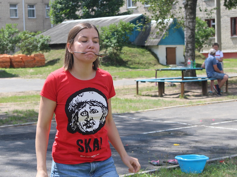 Territory of summer in Petrikov
