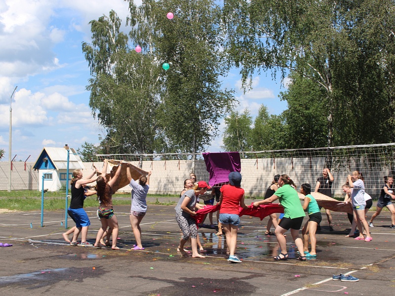 Territory of summer in Petrikov