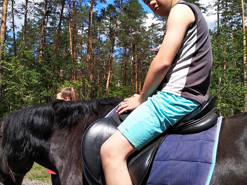 The territory of the family. Summer.